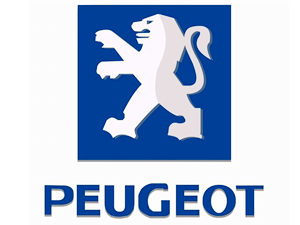 Radio Navegador gps para Peugeot